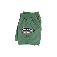 Lade das Bild in den Galerie-Viewer, P-40 Moya Kampf kurz